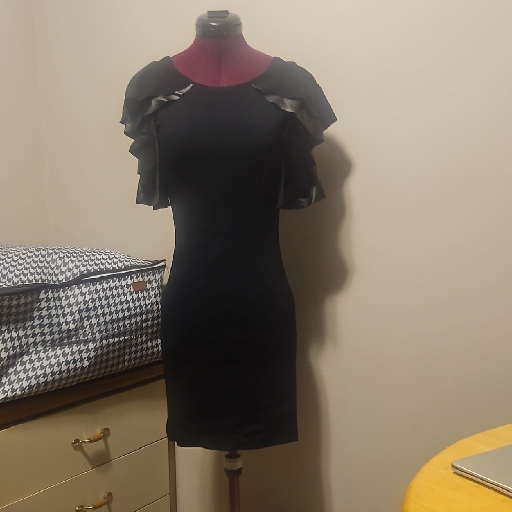 Elegant Black Ruffle Sleeve Dress